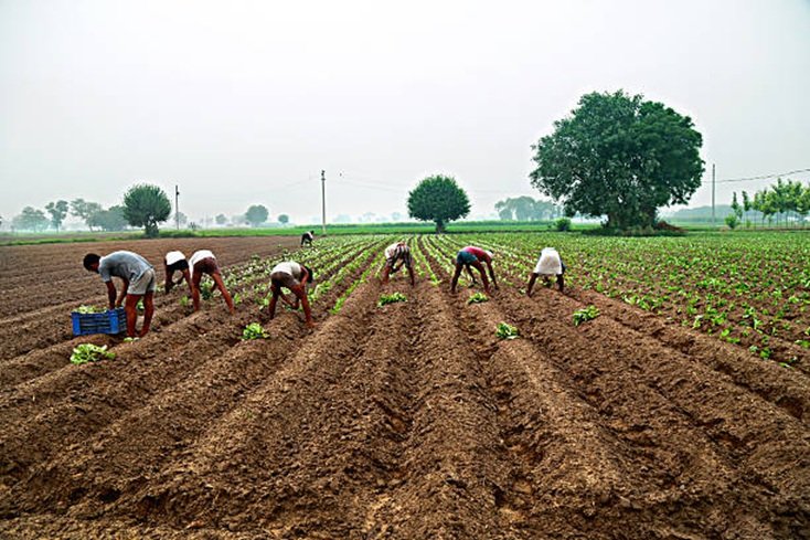 Loan-free and looking ahead: What Rythu Runa Mafi meant for Telangana’s farmers
